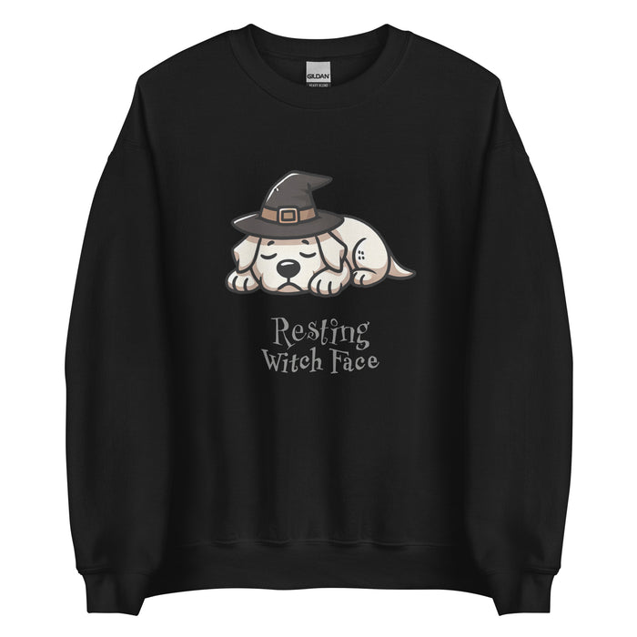 Lab Witch Sweatshirt