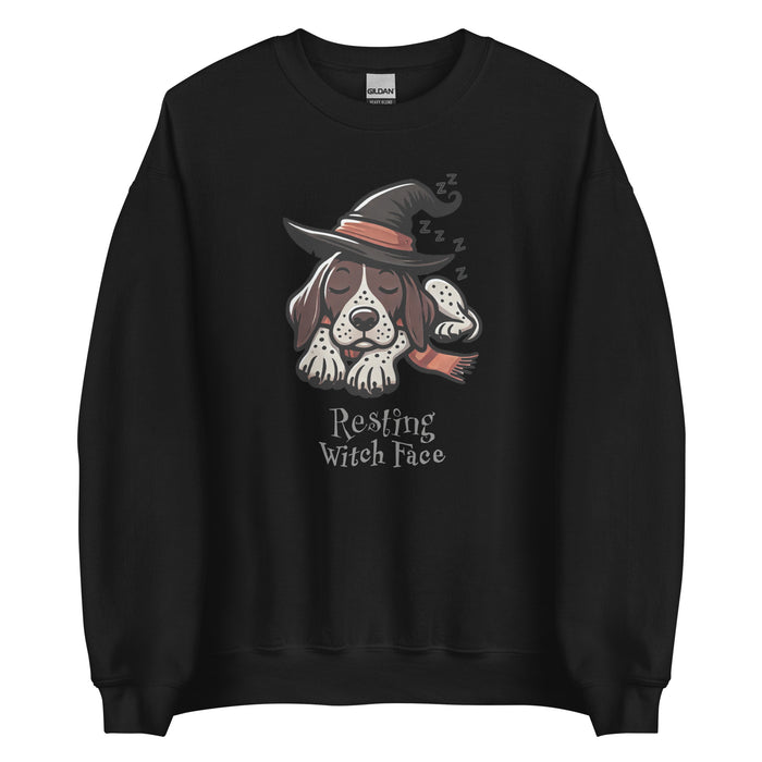 Pointer Witch Sweatshirt