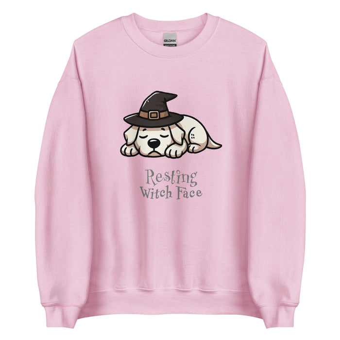 Lab Witch Sweatshirt