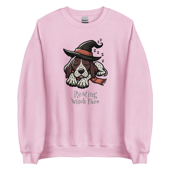 Pointer Witch Sweatshirt