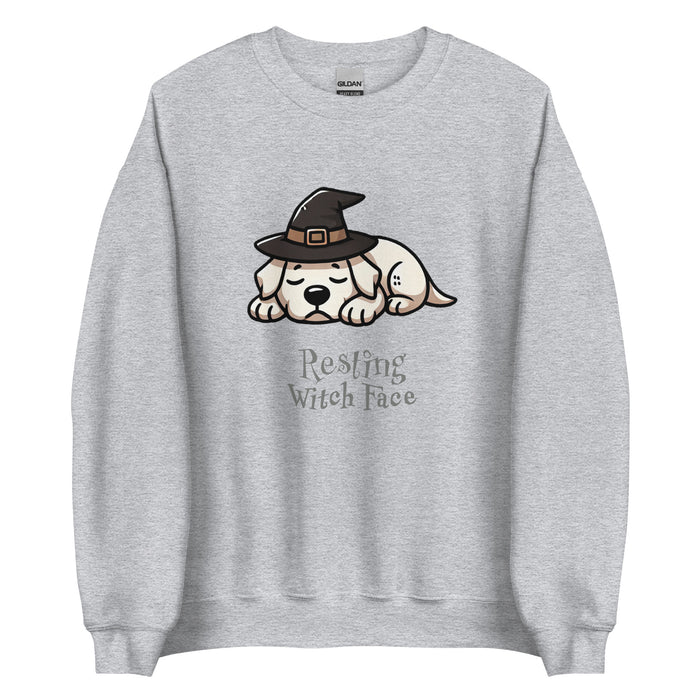 Lab Witch Sweatshirt