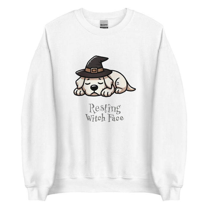 Lab Witch Sweatshirt