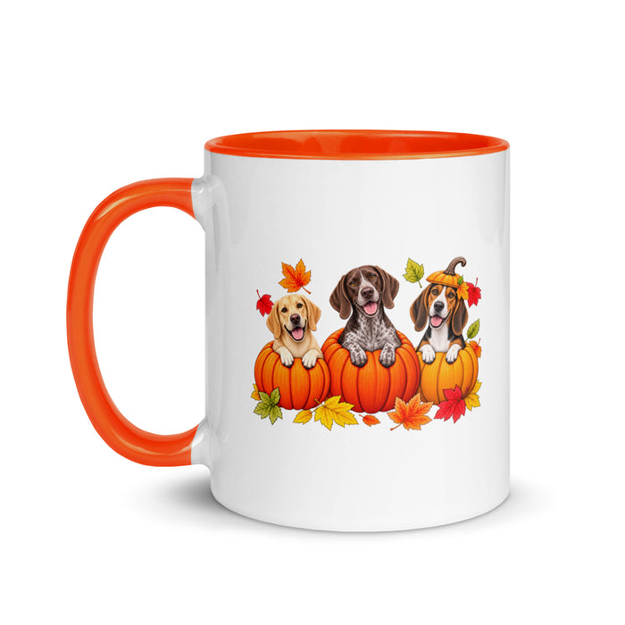 Fall Collection